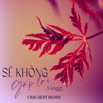 Sẽ Không Gặp Lại (CrackerT Remix) by 