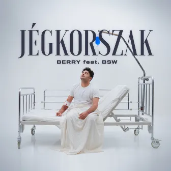 Jégkorszak by BERRY