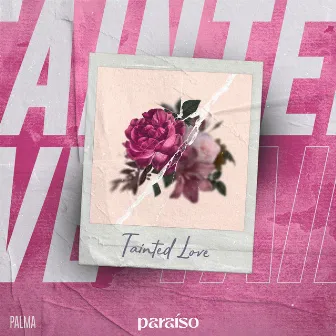 Tainted Love by Palma