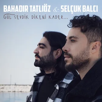 Gül Sevdik Dikeni Kader by Selçuk Balcı