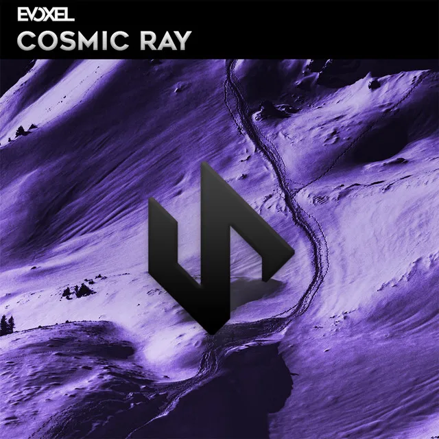 Cosmic Ray