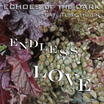 Endless Love by Echoes Of The Dark