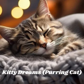 Kitty Dreams (Purring Cat): Relaxing Sleep Therapy for Cats by Natural Healing Music Zone