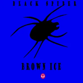 Black Spider by Brown Ice