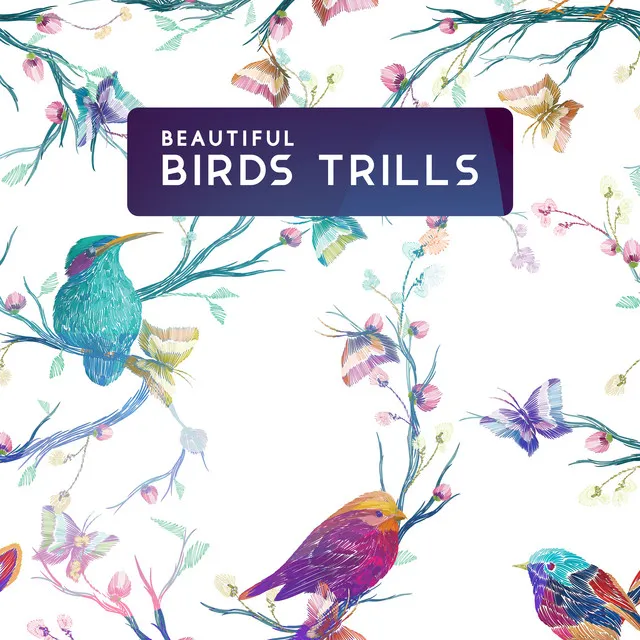 Beautiful Birds Trills (Relaxation, Spa, Mindfulness, Conteplation, Sleep)