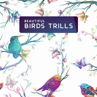 Beautiful Birds Trills (Relaxation, Spa, Mindfulness, Conteplation, Sleep) by Singing Birds Zone