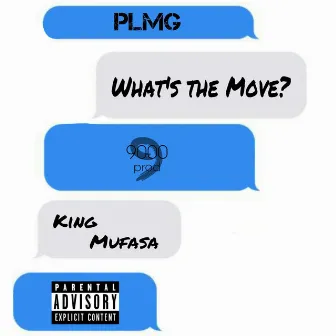 What's The Move by King Mufasa