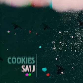 Cookies by Smj