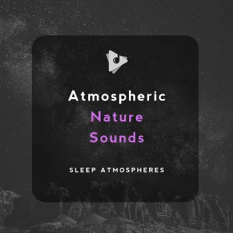 Atmospheric Nature Sounds by Tailormade Ocean Waves