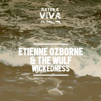 Wickedness by The Wulf