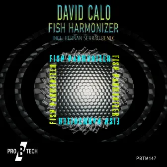 Fish Harmonizer by David Calo