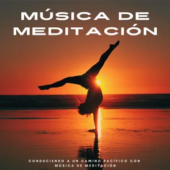 Conduciendo A Un Camino Pacífico Con Música De Meditación by Mente de paz