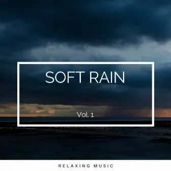 Soft Rain Vol. 1 by Pluviæ