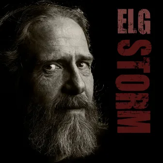 Storm (Single) by Elg