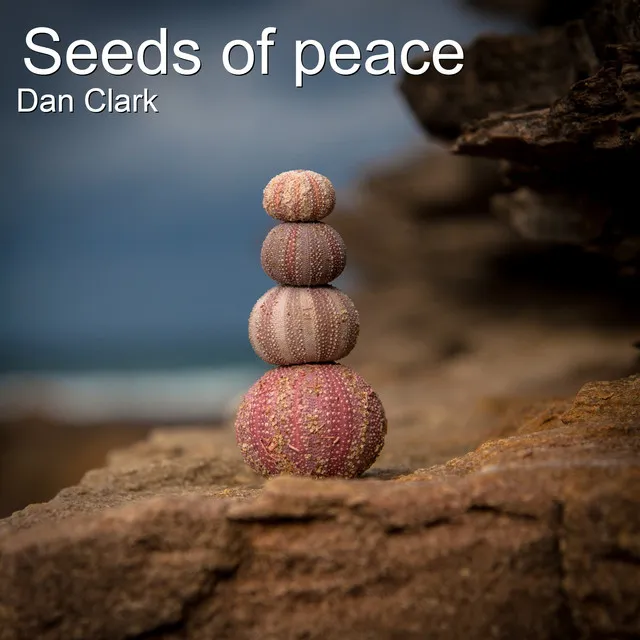 Seeds of Peace - Tunedly Cut