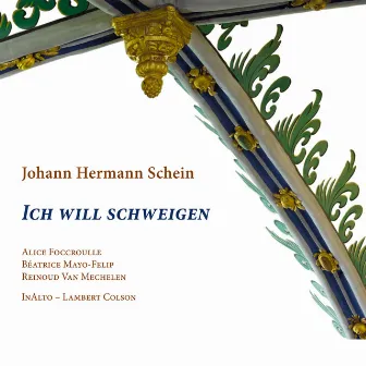 Schein: Ich will schweigen by Lambert Colson