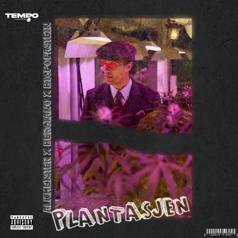 Plantasjen 2024 by BigPopaStein