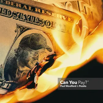 Can You Pay? by Pessto