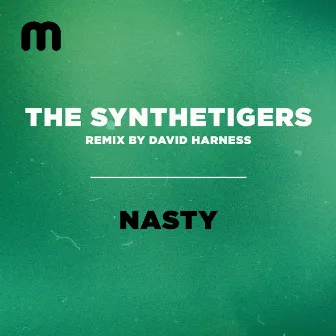 Nasty by The SyntheTigers