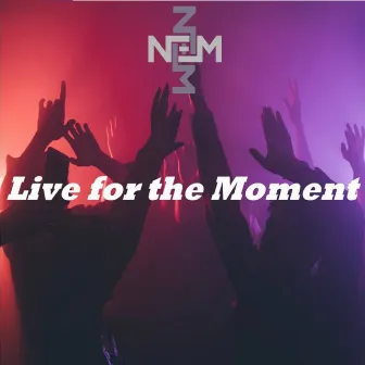 Live For The Moment by Nem