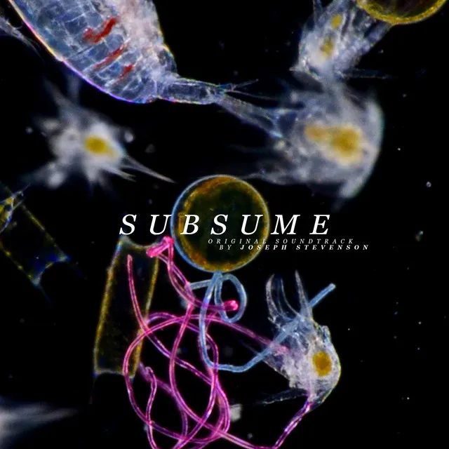 Subsume (Original Soundtrack)