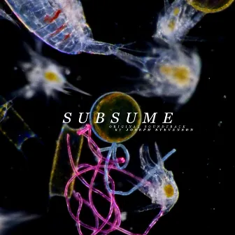 Subsume (Original Soundtrack) by Joseph Stevenson