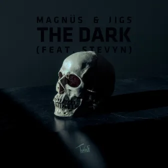 The Dark (feat. Stevyn) by MAGNÜS