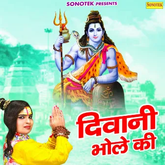 Deewani Bhole Ki by Annu Morwal