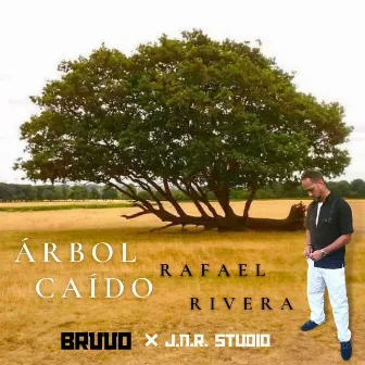 Arbol Caido by J.N.R. Studio