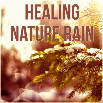 Healing Nature Rain - Hypnosis Instrumental Music with Nature Sounds, New Age Music, Meditation Spiritual Healing by Raindrops Healing Music Universe