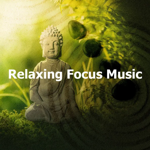 Relaxing Focus Music