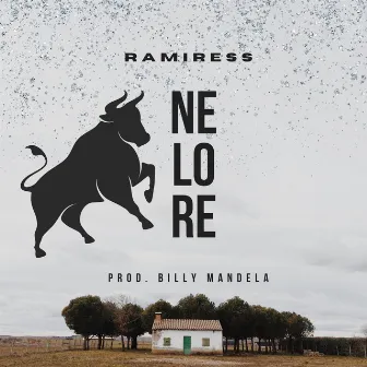 Nelore by Dj Billy Mandela