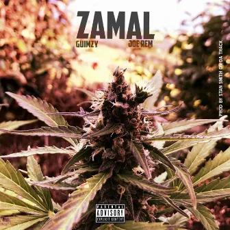 Zamal by Guimzy