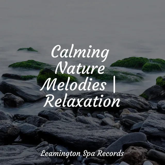 Music for Meditation and Relaxation