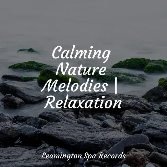 Calming Nature Melodies | Relaxation by Thunder Storm