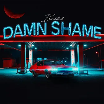 Damn Shame by Barchitect