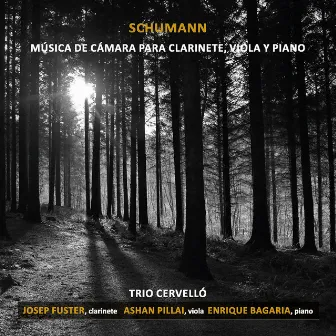 Schumann: Música de Cámara para clarinete, viola y piano by Ashan Pillai