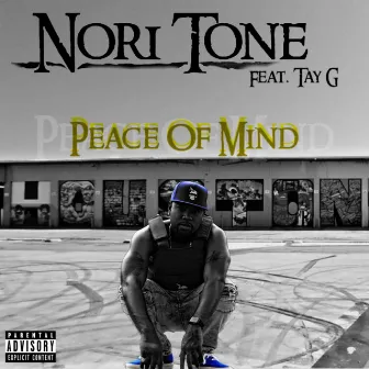 Peace of Mind by Nori Tone