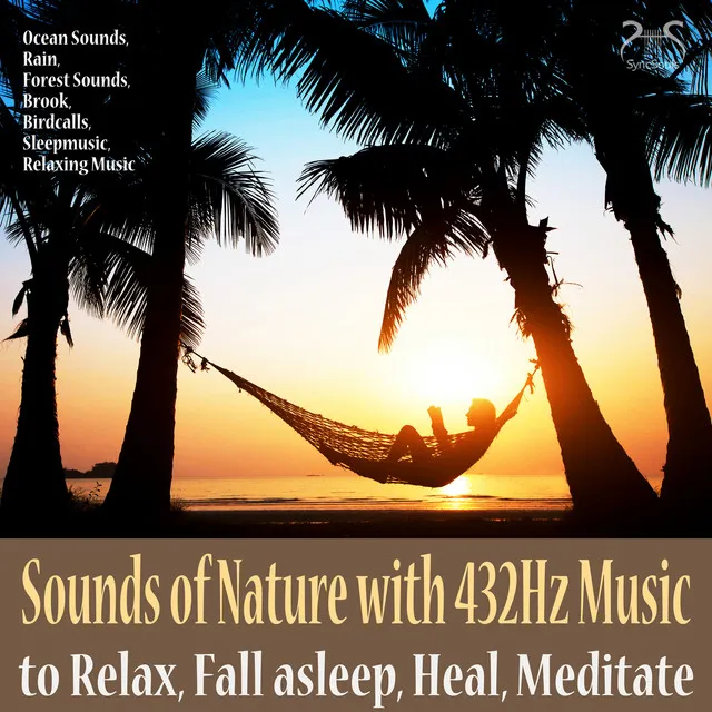 In the Forest: Soothing Forest Birds and Healing Music in 432Hz