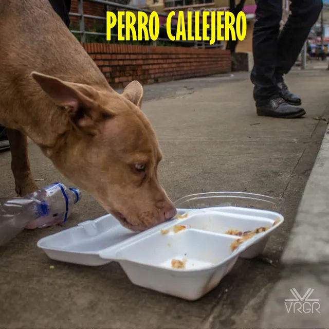 Perro Callejero