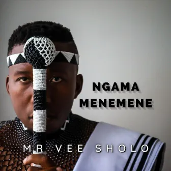 Ngamamenemene by Mr Vee Sholo