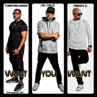 What You Want by Abi Cruz