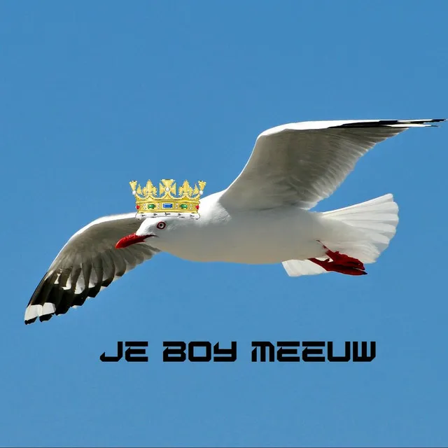 Je boy Meeuw