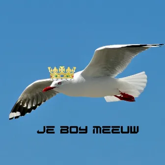 Je boy Meeuw by Martin Hendrix