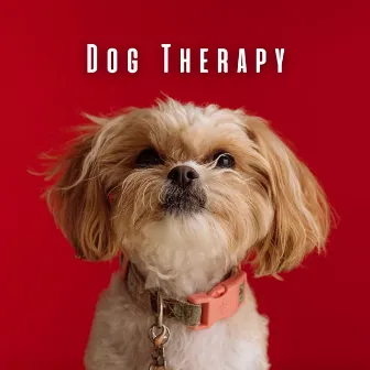 Dog Therapy: Chill Music for Stress Relief by Lotus Flower Therapy