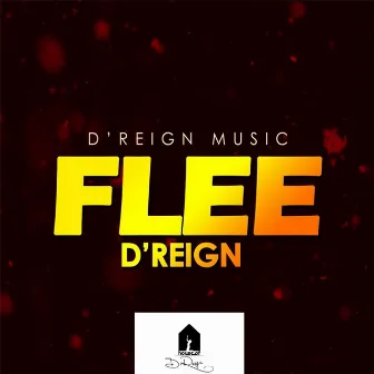 Flee (Ndimulokole) by Dreign