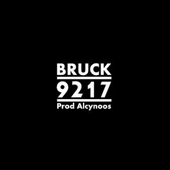 9217 by Bruck