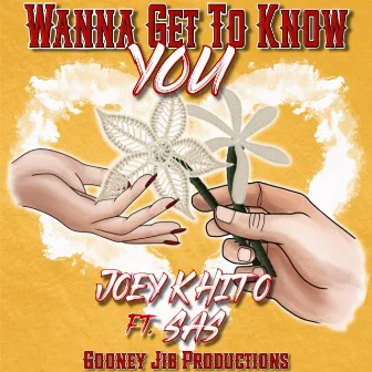 Wanna Get To Know You by Joey K Hito