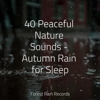 40 Peaceful Nature Sounds - Autumn Rain for Sleep by The Rainforest Collective