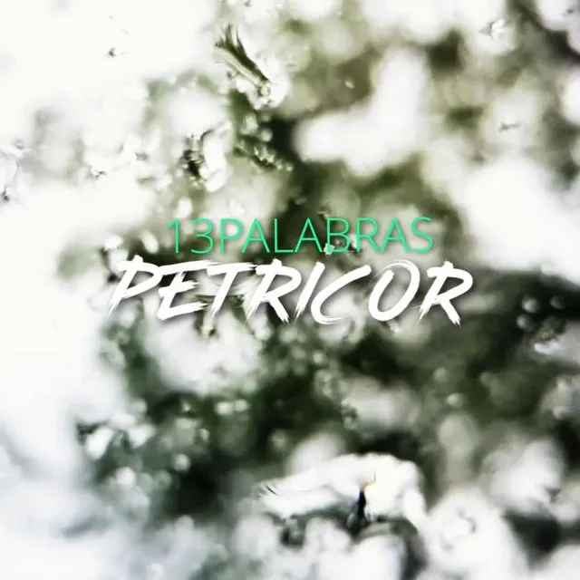 Petricor